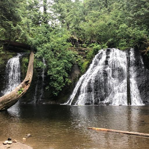 Cover art for Cherry Creek Falls