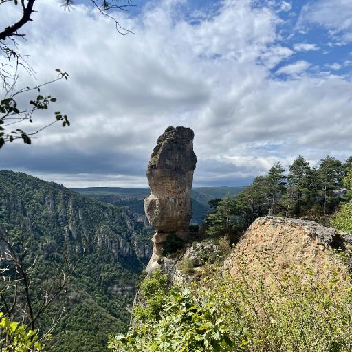 Cover art for Corniches du Méjean