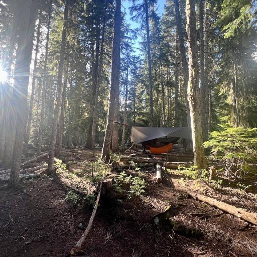 Cover art for Hidden Meadows