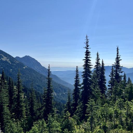 Cover art for Hurricane Ridge