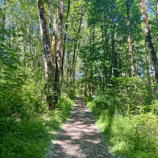 Cover art for Lord Hill Regional Park