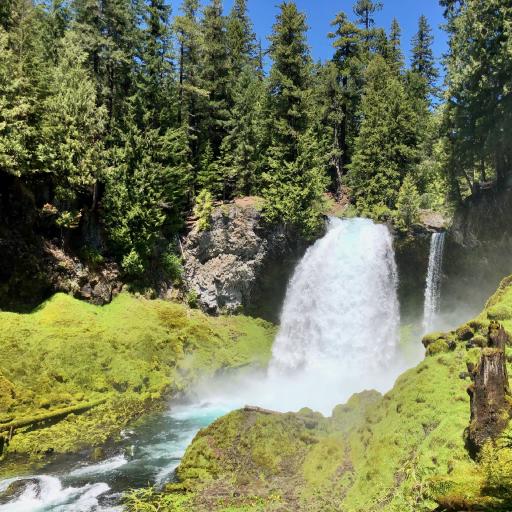 Cover art for McKenzie River