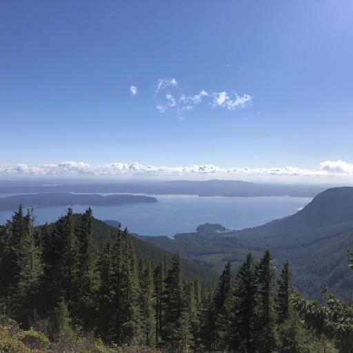 Cover art for Mount Walker