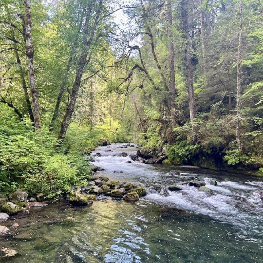 Cover art for Mount Walker