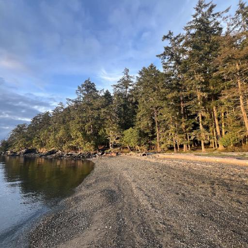 Cover art for Turn Island State Park