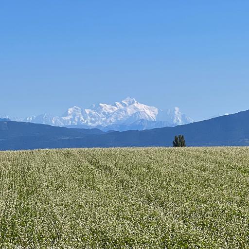 Cover art for Switzerland