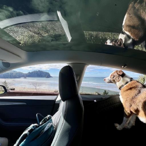 Cover art for Olympic Peninsula, United States